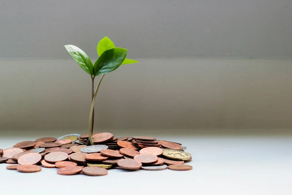 How to invest your PSU salary beginner guide index funds SIP PPF
